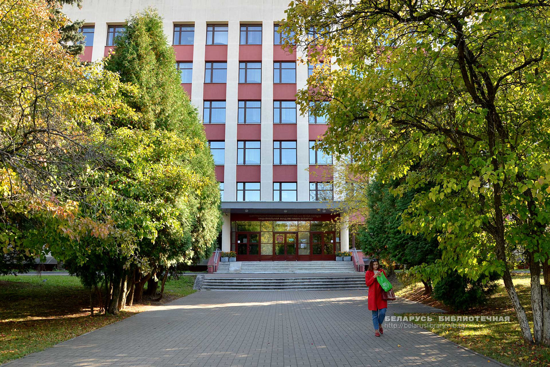 Центральная научная библиотека имени Якуба Коласа Национальной академии наук Беларуси. Фото: Виктор Пшибытко